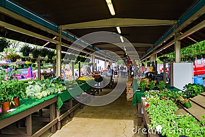 Vinton Farmers Market Editorial Stock Photo